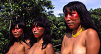 Matses Photo Gallery I