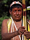 Arquería Amazónica